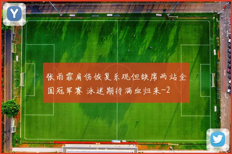 张雨霏肩伤恢复乐观但缺席两站全国冠军赛 泳迷期待满血归来