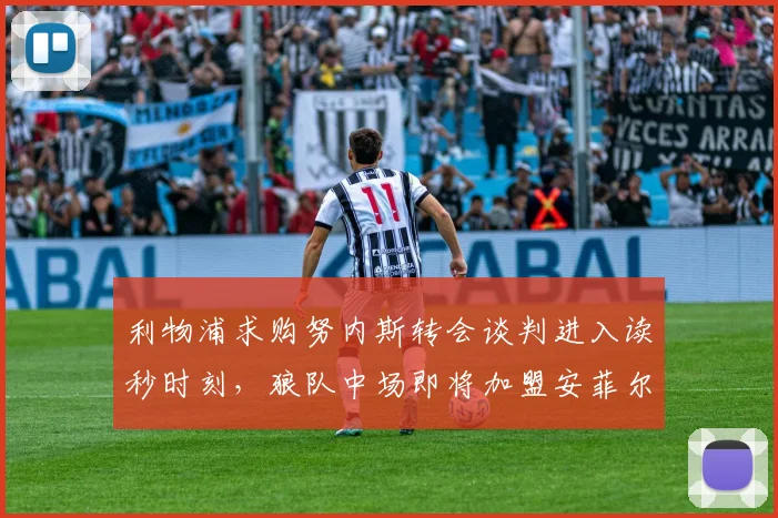 利物浦求购努内斯转会谈判进入读秒时刻,狼队中场即将加盟安菲尔德