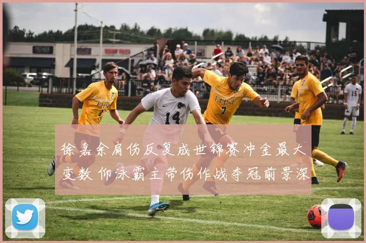 徐嘉余肩伤反复成世锦赛冲金最大变数 仰泳霸主带伤作战夺冠前景深度解析