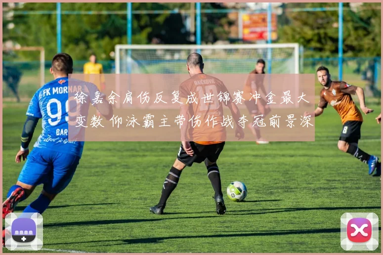 徐嘉余肩伤反复成世锦赛冲金最大变数 仰泳霸主带伤作战夺冠前景深度解析